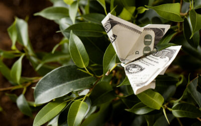 Where to Keep Your Emergency Fund: Safe, Accessible, and Still Earning Interest